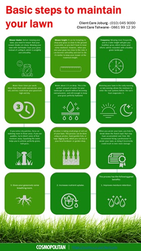 Basic Steps to Maintain Your Lawn infographic