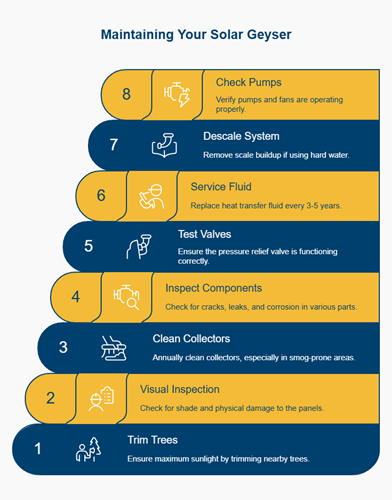 Maintaining Your Solar Geyser infographic